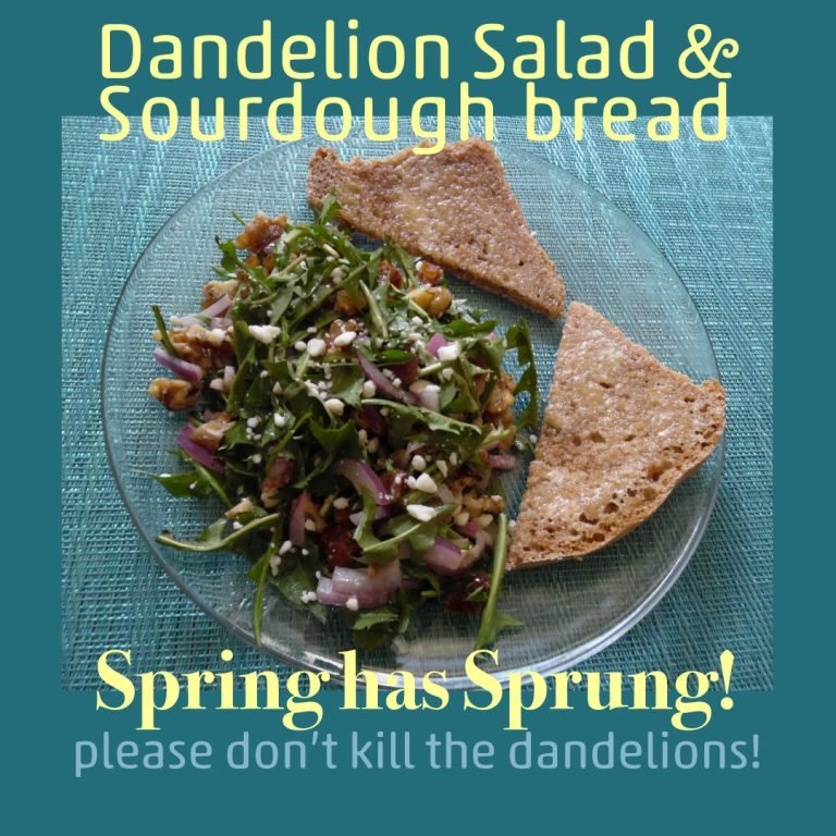 Yes-eat-the-dandelions-no-words